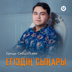 Егіздің сыңары