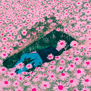 Where Is My Mind