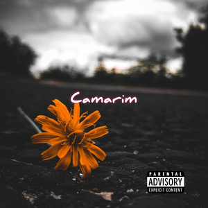 Camarim