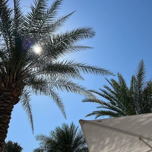 Teemu Haapaniemi-Baby Don t Hurt Me（Pcpo remix）