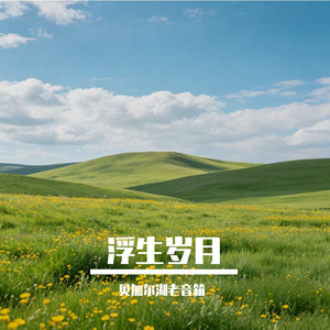 浮生岁月