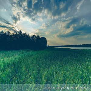 Senneville: Quelques Notes Pour Anna (세느빌: 슬픈 안나를 위하여 눈물로 적은 시)