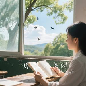 风过少年时