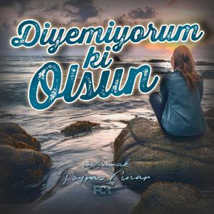Diyemiyorum ki Olsun