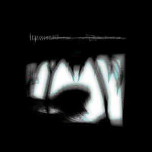 Armadillidium Vulgare