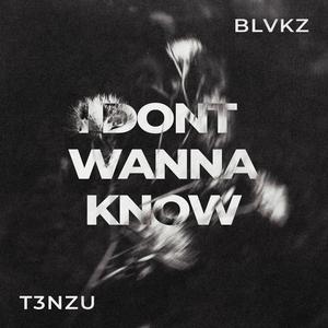 I DON'T WANNA KNOW (SLOWED)