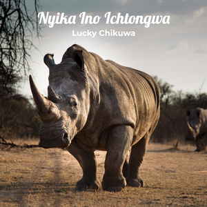 Nyika Ino Ichatongwa