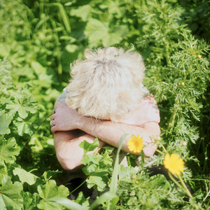 טווס זהב \\ כל יום זה מתנה