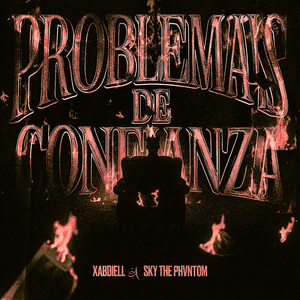 PROBLEMAS DE CONFIANZA
