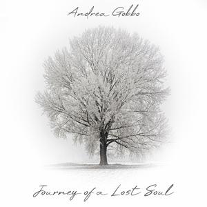 Falling Down to Earth