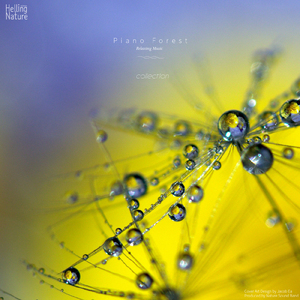 반짝반짝 우리 아이 (With Rain Sound)