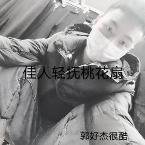 佳人轻抚桃花扇