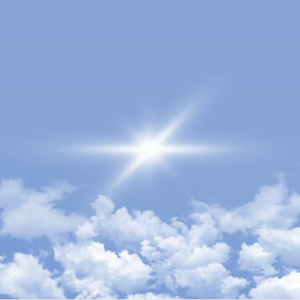 一天到晚游泳的鱼