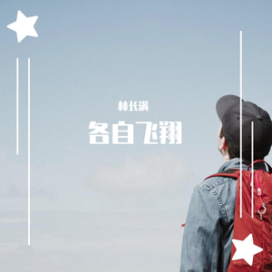 各自飞翔