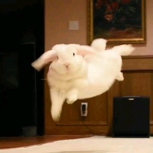 世界好吵，我们悄悄幸福就好