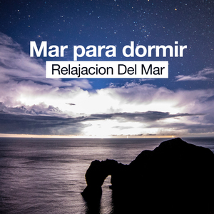 Small Stream, Big Bird Population