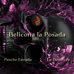 Belicona la Posada