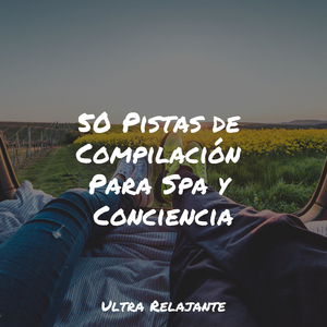 Prados Calmados