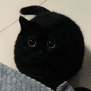 我的世界没有太阳（Prod by Morrow)