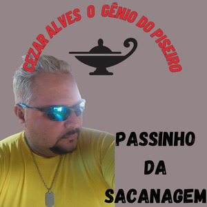 Passinho da Sacanagem