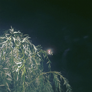 Оставаться никем