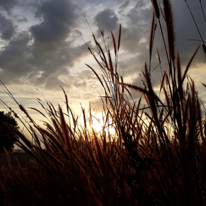 We Are Young Tonight