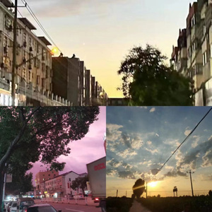 浮萍于盛夏，相遇落花上