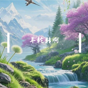 年轮转啊