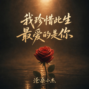 我珍惜此生 最爱的是你