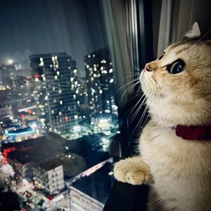 就叫那啥