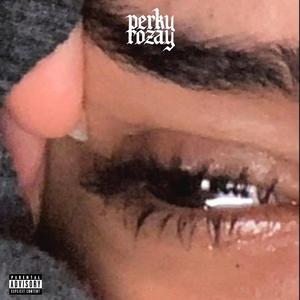 Never Ment To Hurt You