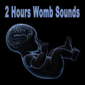 2 Hours Womb Sounds (Gets Baby to Sleep Fast! Calms Crying Babies & Colic)