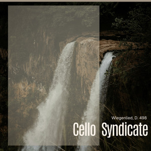 Wiegenlied, D. 498 (Arr. for Piano and Cello by Henrik Dam Thomsen)