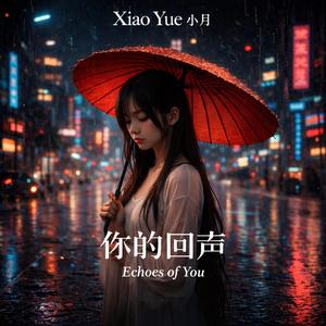 你的回声 (Echoes of You)