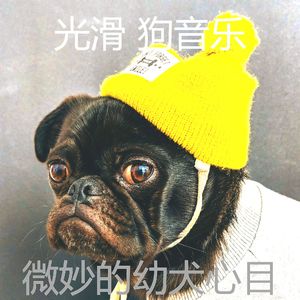 温和小狗梦想