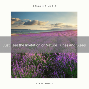 Year of Sea Perfect Tunes