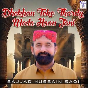 Dhekhan Teko Thardy Meda Haan Jani