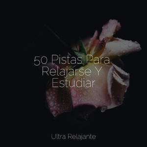 Ritmos De Latidos