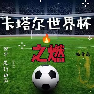 卡塔尔世界杯之燃