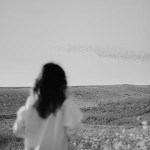 ผู้บ่าวเสื้อปุ๋ย ⁂ focus swirl