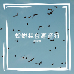 蝉蜕挂在高音符