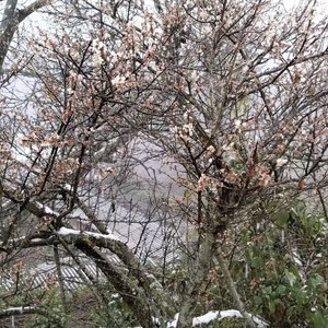 有我呢.清唱翻唱