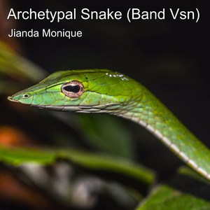 Archetypal Snake (Band Vsn)