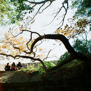 雨、降り続く雨