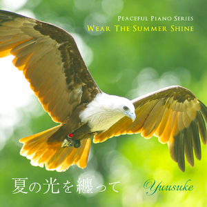 夏の光を纏って