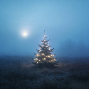 好吃好吃好吃！