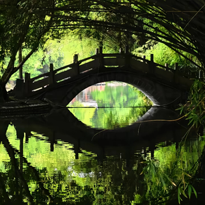 格式转换-你自己