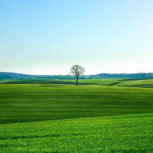 高萨尔_4u的AI创作-电子15