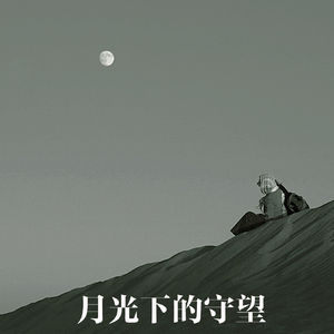 月光下的守望