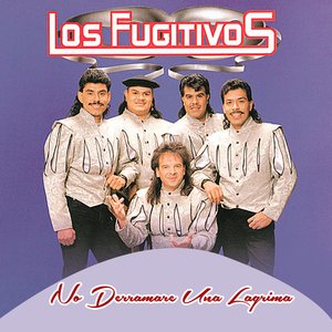 No Derramare una Lágrima